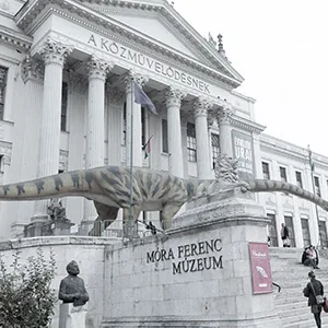 Ferenc Móra Museum, Szeged – technical inspection and management