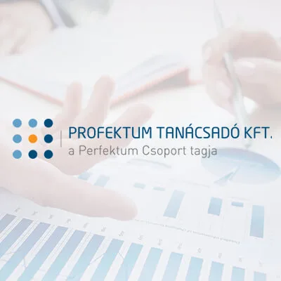 Baja – kikötő fejlesztéséhez kapcsolódó projektmenedzsment feladatok